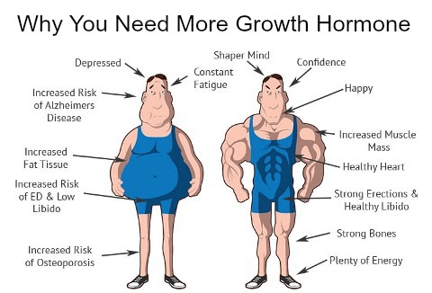 human growth hormone for sale
