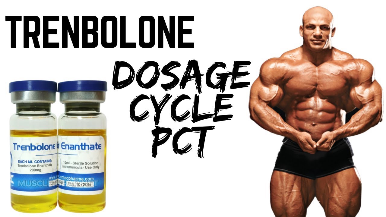 Dianabol Versus Anavar Researching A few Anabolics- Bodyly