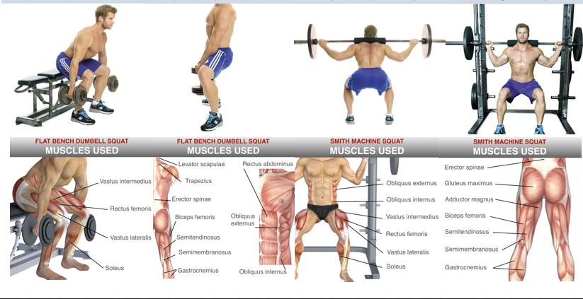 building leg muscles