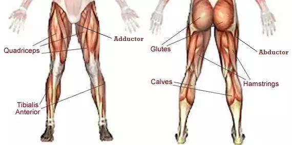 does running build leg muscle