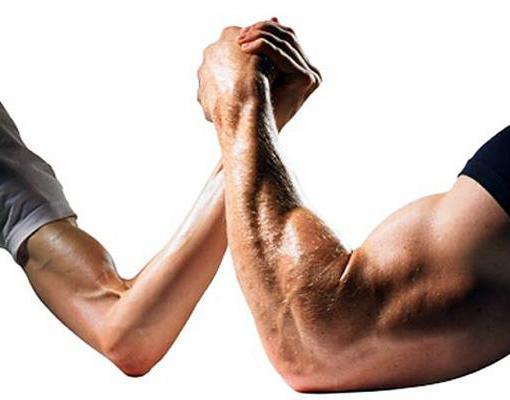 testosterone undecanoate bodybuilding